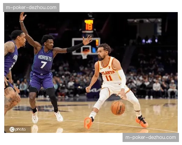 老鹰东部第五位置相对稳定 特雷杨伤情影响球队轮换深度